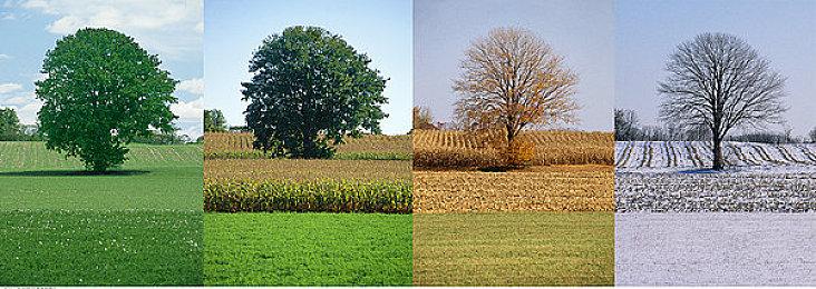 模板又双叒叕上新？Y3编辑器模板二创迷你挑战赛正式开启！